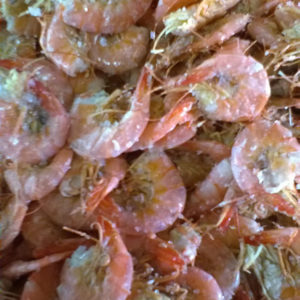 camarao_salgado