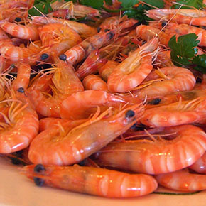 Salgados